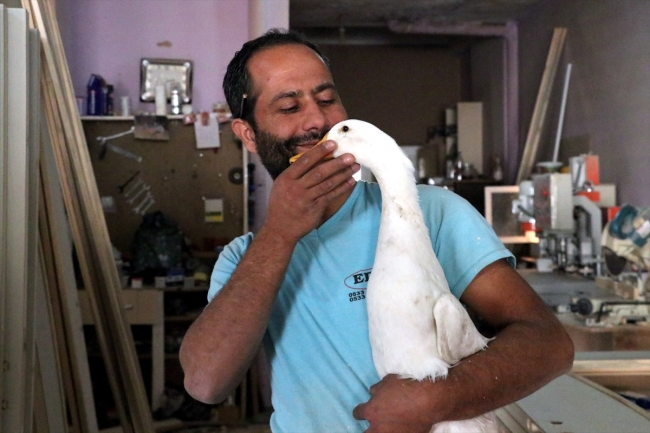 Mobilya ustası ile "Boncuk" birbirlerinden ayrılamıyor